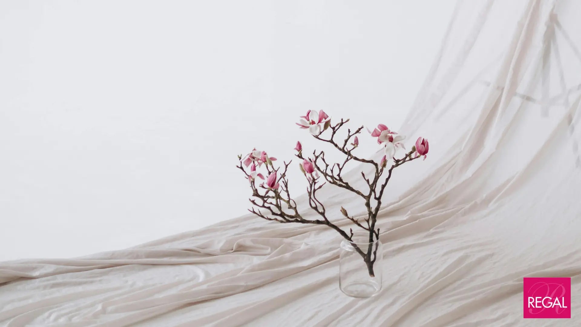 Top 8 Fabrics That Will Trends for Fall 2024 Regal Fabrics