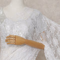 Frost White Chantilly Lace Saree
