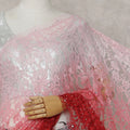 Blush Pink to Ruby Red Ombre French Chantilly Lace Saree