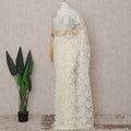 Vanilla Cream Metallic Lace Saree