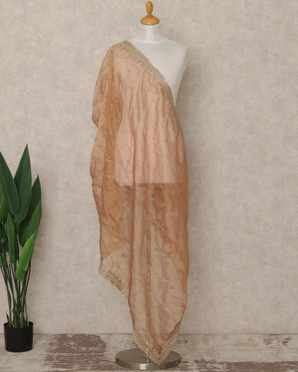 Soft Peach Premium Synthetic Organza Dupatta with Subtle Sequin Detailing, 225X80 CMS Width, India-D26927 - Regal Fabrics
