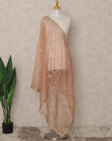 Blush Peach Premium Synthetic Organza Dupatta with Delicate Floral Embellishments, 225X80 CMS Width, India-D26928 - Regal Fabrics