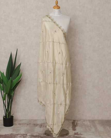 Beige Embroidered Border and Mirror Work Premium Tussar Silk Dupatta, 225X85 Cms, Made in India-D25760
