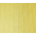 Lemon Yellow Silk Garbasaar Piece 2m | Regal Fabrics
