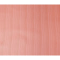 Salmon Peach Silk Garbasaar Piece 2m | Regal Fabrics