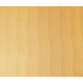 Golden Amber Silk Garbasaar Piece 2m | Regal Fabrics