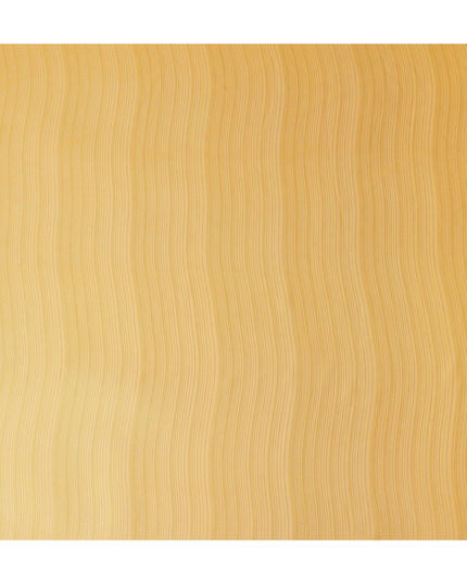 Golden Amber Silk Garbasaar Piece 2m | Regal Fabrics