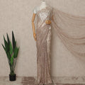 Champagne Beige Outline Metallic French Chantilly Saree Lace With Stone Work Elegant Floral Net Design 5.5 Mtrs Length 110 Cms Width Premium Soft Sheer Fabric France Origin-D28898 Regal Fabrics