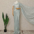 Blue French Metallic Chantilly Lace Saree