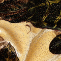 Autumn Multicolor Leaf Print Synthetic Blended Velvet Fabric