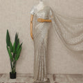 Silver French Metallic Chantilly Lace Saree