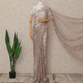Beige French Metallic Chantilly Lace Saree