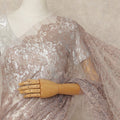 Beige French Metallic Chantilly Lace Saree