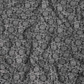 Black Paisley Cotton Lawn Printed Fabric 110cm India
