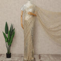 Beige French Metallic Chantilly Lace Saree