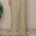 Beige French Metallic Chantilly Lace Saree