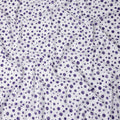 White Polka Dot Swiss Cotton Voile Sudanese Thobe