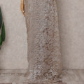Champagne Beige Chantilly Lace Saree - D31673