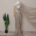 Champagne Silver Chantilly Lace Saree - D31612