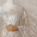 Champagne Beige Chantilly Lace Saree - D31660