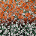 Tangerine Dream Rose Silk Blended Velvet â€“ Exclusive Last Piece-D19024(1.5Mtrs) Regal Fabrics