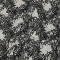 Monochrome Silk Crepe Fabric - Elegant Black and White Floral Print, 110cm Wide, Last Piece-D19342(1.55Mtrs Piece) Regal Fabrics