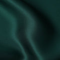 Emerald Green Pure Silk Satin Fabric – Width 110 cm-D21802
