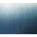 Silk Satin Fabric