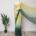 Yellow and Green Ombre French Chantilly Lace Fabric with Stone Work, 5.5 Meters, 110 cm Width-EC-402-0021483 Regal Fabrics