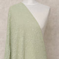 Mint Green Synthetic Georgette Dupatta with Paisley Embroidery, 210 x 80 Cms, Made in India-D24096 Regal Fabrics
