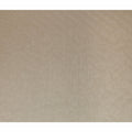 Beige Metallic Silk Lame Fabric 110cm | Korean