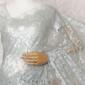 Gleaming Pewter Metallic Lace Saree: French Artisanal Beauty, No Blouse Included-D17467 Regal Fabrics