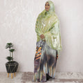 Light sage green Premium pure French (Fransawi) silk chiffon garbasaar with same tone, gold metallic lurex in abstract design-D17149 Regal Fabrics