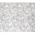 Off white Premium pure silk crepe fabric with multicolor print having gold metallic lurex in floral design-D15732 - Regal Fabrics