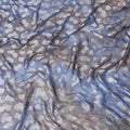Blue premium pure silk chiffon fabric with multicolor print having silver viscose in dot design-D13115
