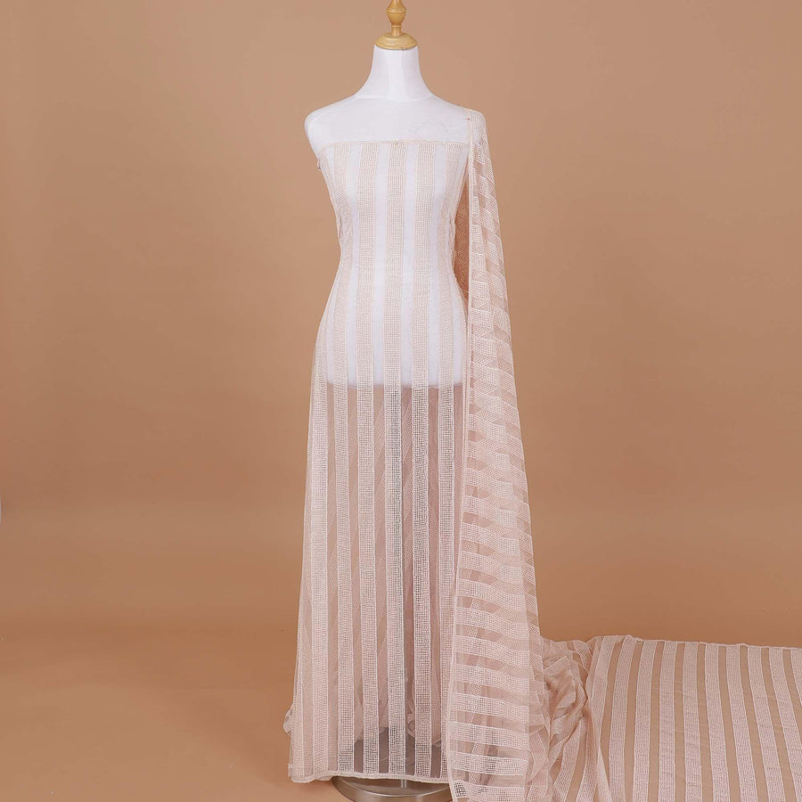 قماش تول نايلون شامبين مع تطريز بنفس اللون بتصميم مخطط - D9189