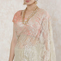Light gold Premium pure French metallic lace saree in floral design-D14499