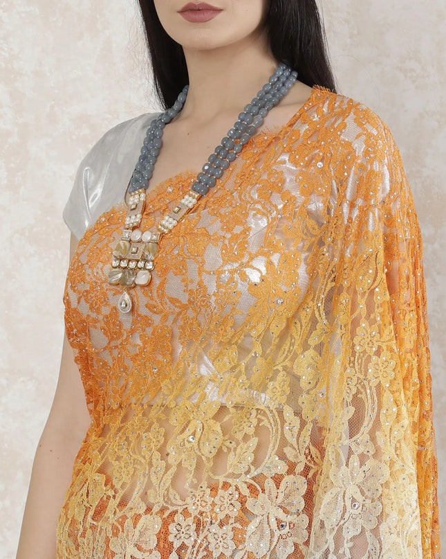 Multicolor Premium pure French chantilly lace saree having stone work in ombre design-D14489 Regal Fabrics