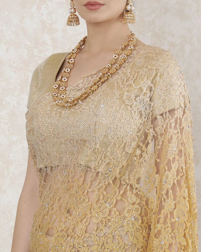 Gold to mustard brown Premium Pure French chantilly lace saree having stone work in Ombre design-D14490 Regal Fabrics