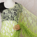 Mint green to Kelly green Premium pure French chantilly lace saree in ombre design-D14606 Regal Fabrics