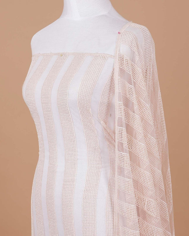 قماش تول نايلون شامبين مع تطريز بنفس اللون بتصميم مخطط - D9189