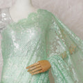 Mint green Premium pure French chantilly lace saree having stone work and same tone outline metallic lurex in floral design-D14618